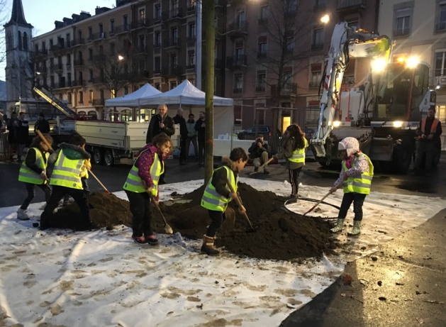 Un 273ème arbre sur la plaine de Plainpalais Un 273ème arbre sur la plaine de Plainpalais