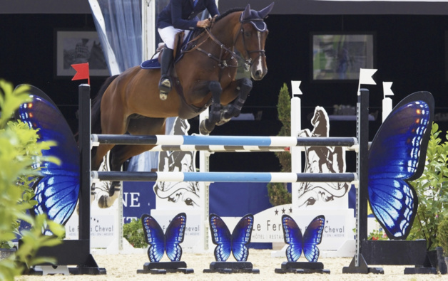 Un très agressif virus de l’herpès met les chevaux suisses en quarantaine Un très agressif virus de l’herpès met les chevaux suisses en quarantaine