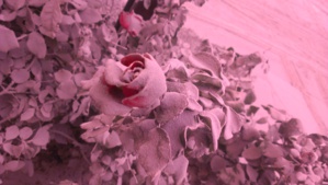 « A midi, il a fait nuit, c'était impressionnant » « A midi, il a fait nuit, c'était impressionnant »