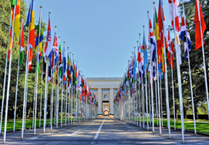 Vous faites un stage à l'ONU? Voici nos 10 conseils pour survivre!
