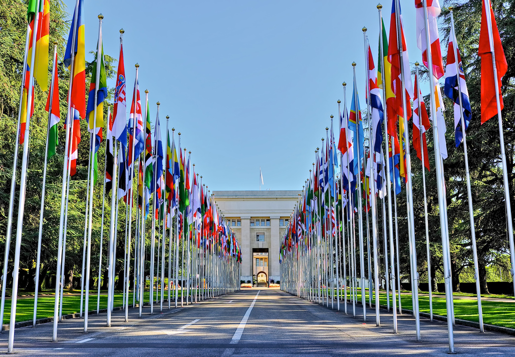 Vous faites un stage à l'ONU? Voici nos 10 conseils pour survivre!