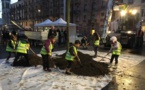 Un 273ème arbre sur la plaine de Plainpalais