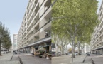 Taille des arbres: Genève se met au vert